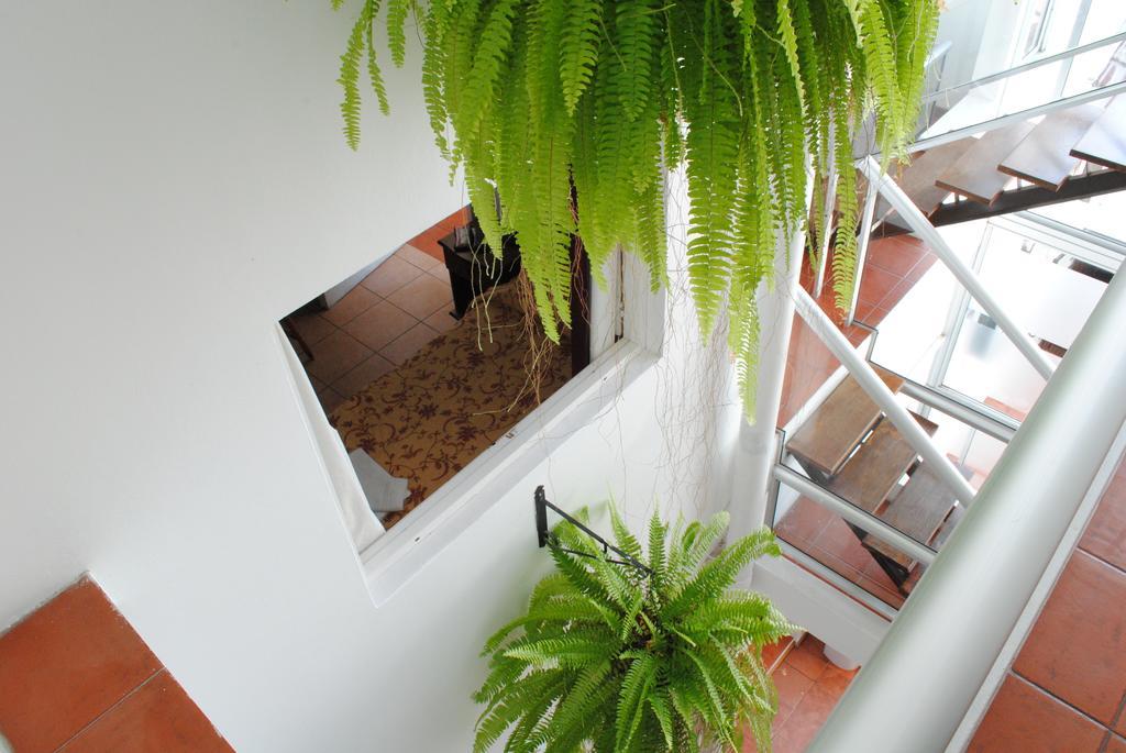 Hotel Romi Colonia del Sacramento Exterior photo